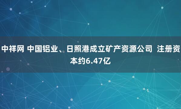中祥网 中国铝业、日照港成立矿产资源公司  注册资本约6.47亿