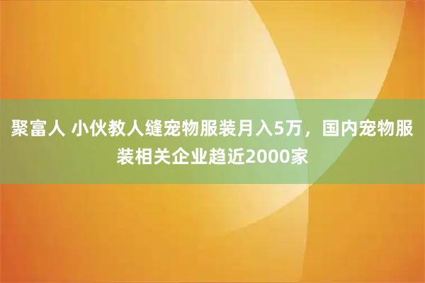 聚富人 小伙教人缝宠物服装月入5万，国内宠物服装相关企业趋近2000家
